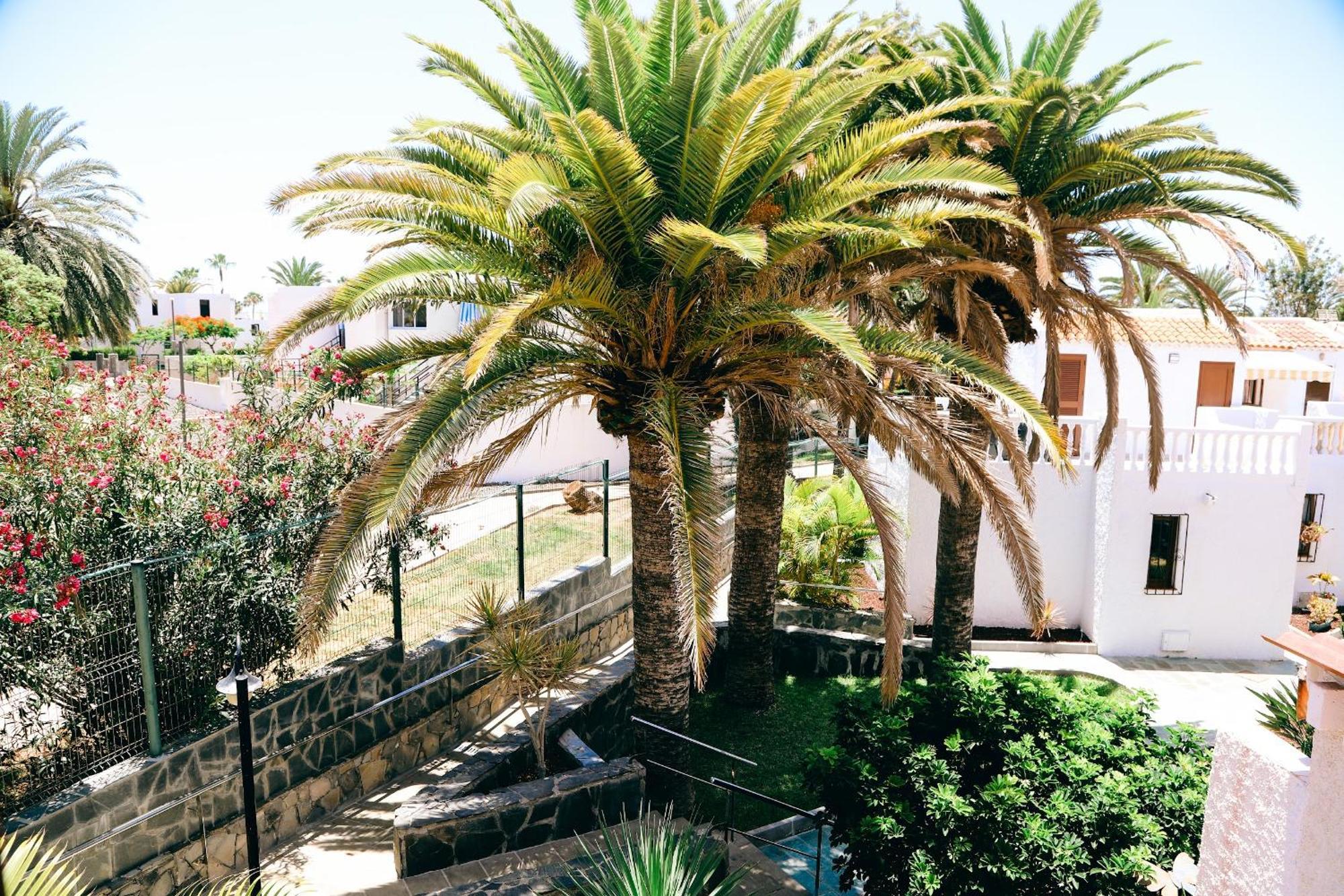 Virginia Apartman Playa de las Américas Kültér fotó